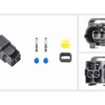 Pistikukomplekt (2-pin, Hyundai/KIA)