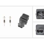 Pistikukomplekt (2-pin)