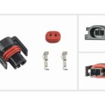 Pistikukomplekt (2-pin, GM)