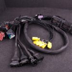 MaxxECU PRO Plugin adapter - Mustang GT V8 2011 E-Throttle