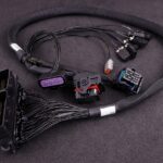 MaxxECU RACE adapter harness Ford Focus RS 2010 (ME 9.0)