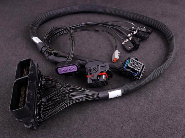 1902-maxxecu_race_harness_fordfocus-01.jpg