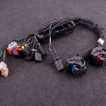 BMW M54 Plugin adapter (MaxxECU RACE)