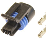 Anduri pistik (2-pin, Delphi)