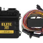 Haltech Elite 750 + Premium Universal Wire-in Harness Kit Length: 2.5m (8')