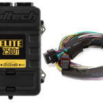 Haltech Elite 2500 T + Basic Universal Wire-in Harness Kit Length: 2.5m (8')