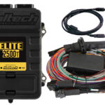Haltech Elite 2500 T + Premium Universal Wire-in Harness Kit Length: 2.5m (8')