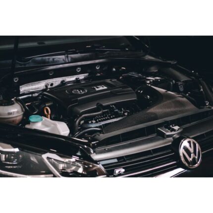 Система холодного впуска (VW Golf MK7.5-2.0TSI EA888 Gen3, Stage 2)