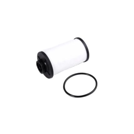 Automaatkäigukasti õlifilter DSG-6 DQ250