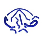 Toyota Altezza / Lexus IS200 3S-GE